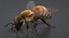 3D realistic bee real