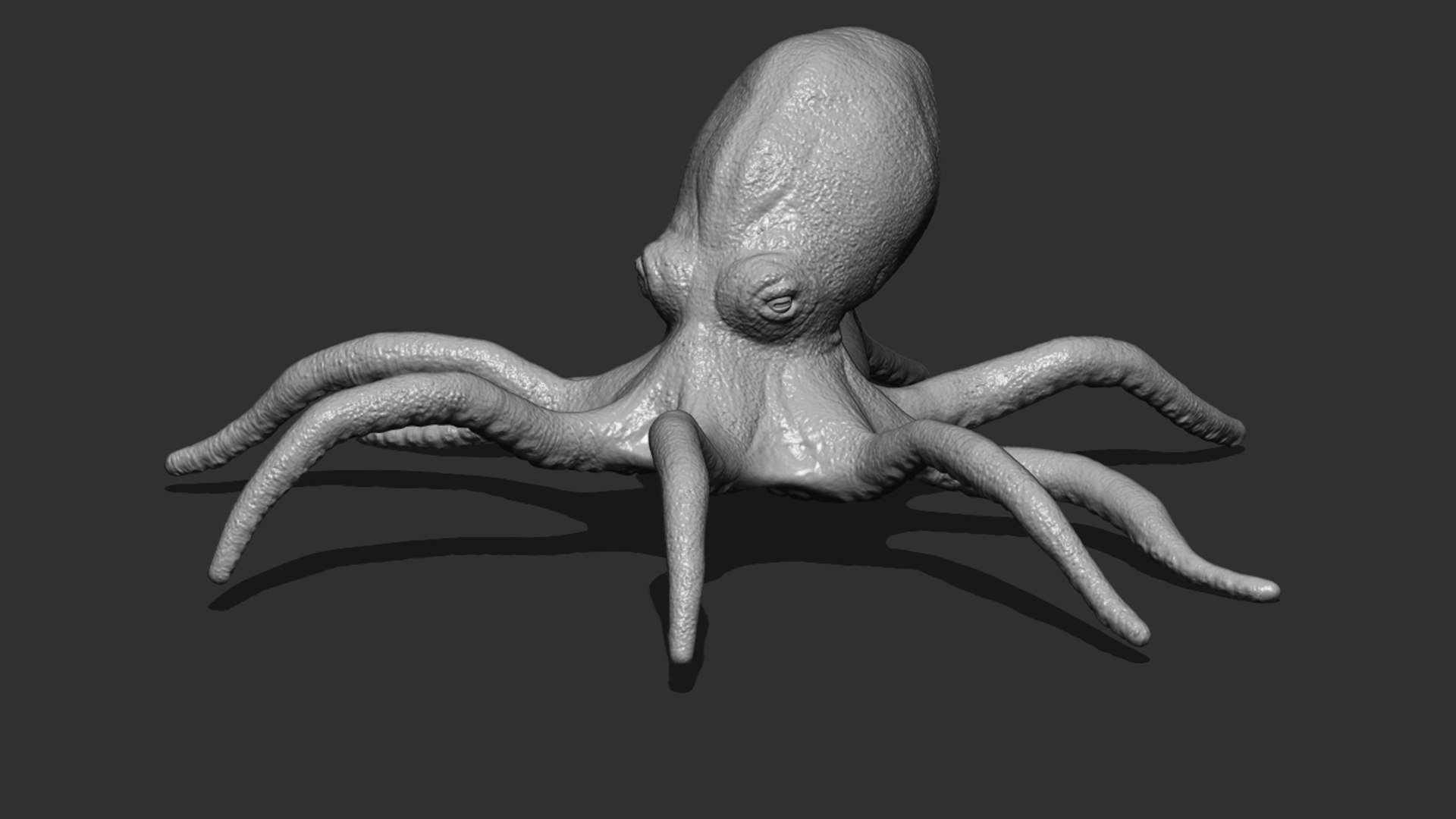 Octopus 3D Model - TurboSquid 1773903