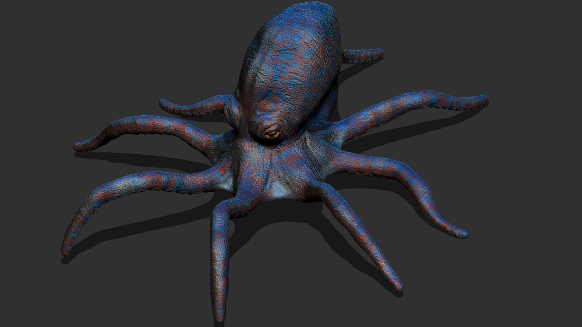 Octopus 3D model - TurboSquid 1773903