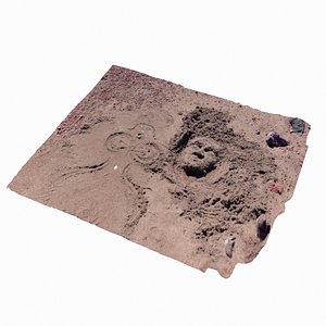 Beach Sand Art Scan