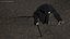 Grim Reaper Flying Pose