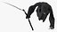 Grim Reaper Flying Pose
