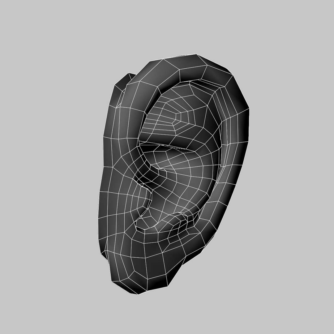 ear 3d x https://p.turbosquid.com/ts-thumb/JI/oJPI0c/K0778fJz/cute_ear_ta_07/jpg/1425037446/1920x1080/fit_q87/1f4c0fabb999c5a3298027424ece1b778bb10d2a/cute_ear_ta_07.jpg