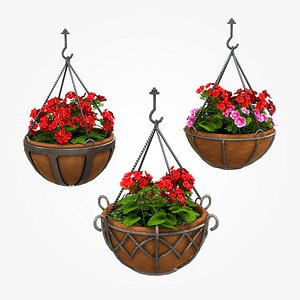 3D hanging potted plants geranium