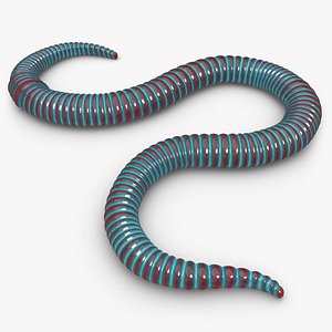 Worm (Blue)