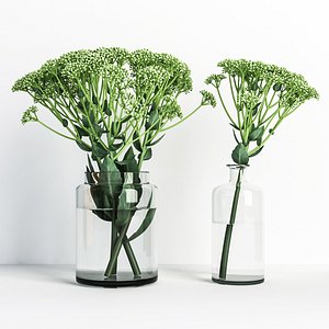 sedum vases model