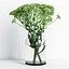 sedum vases model