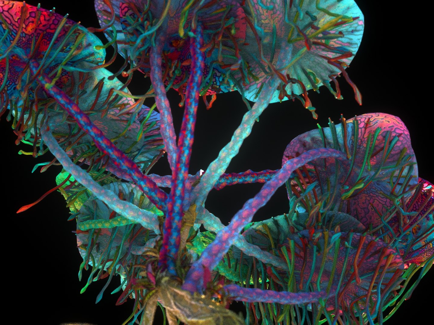3D model avatar fungus tree pack https://p.turbosquid.com/ts-thumb/JJ/eDNgzF/CLuWemgX/77786789/jpg/1573080748/1920x1080/fit_q87/0693f27d072c0cae618b0479b570af76f4879b9a/77786789.jpg