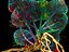 Avatar Fungus Tree Animated Pack