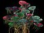 Avatar Fungus Tree Animated Pack