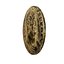 Ancient Coin Collection