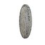 Ancient Coin Collection