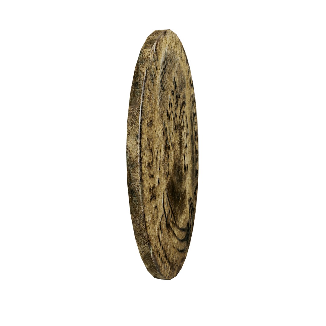 old ancient coin 3D model https://p.turbosquid.com/ts-thumb/JJ/g7LKMS/eltgTzDZ/rmpcoin05/png/1576188939/1920x1080/fit_q87/585f007055b90d9f388263e983c8dfc1524a7fdd/rmpcoin05.jpg