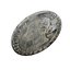 Ancient Coin Collection