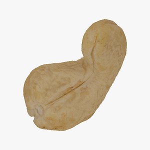 3D model cashew nut 01 raw
