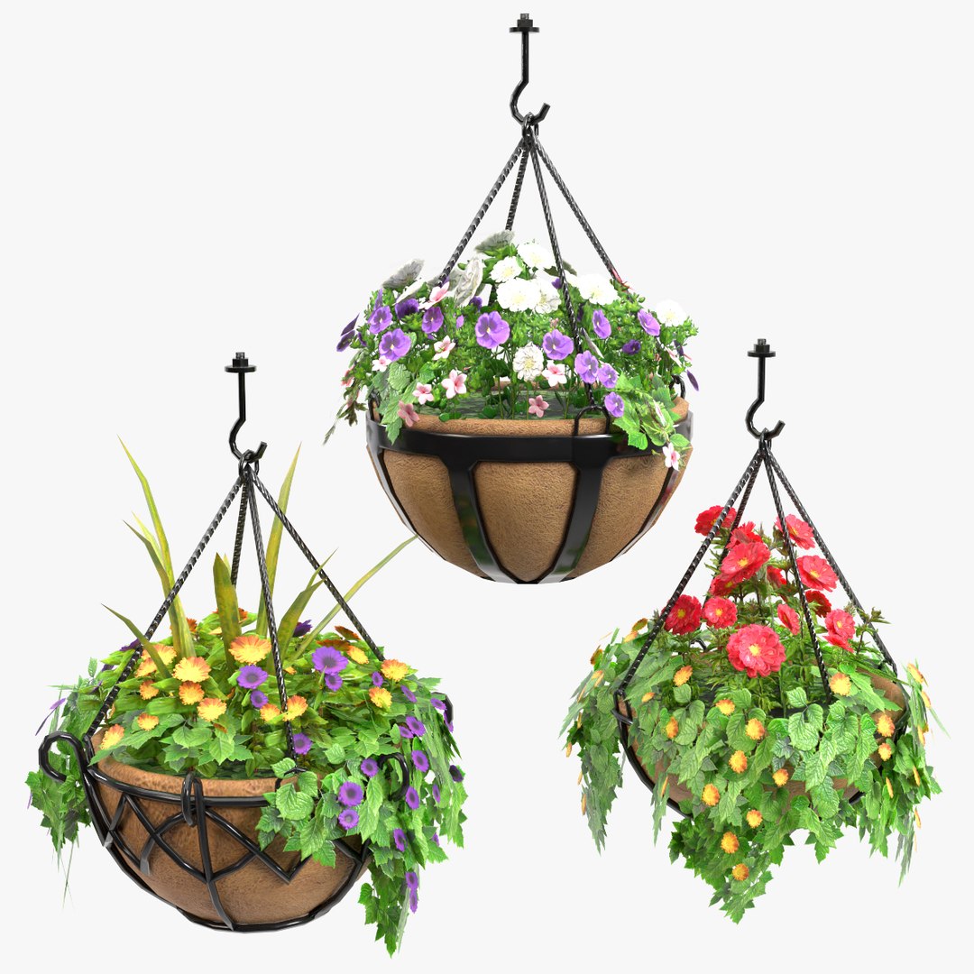 Hanging Potted Plants 3D Model - TurboSquid 1587563