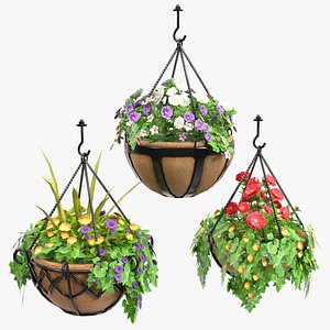 Hanging Basket Plants 1
