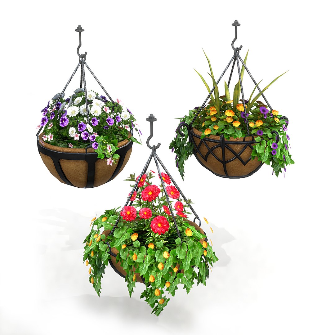 Hanging Potted Plants 3D Model - TurboSquid 1587563