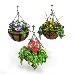 hanging potted plants 3D model