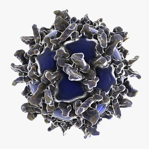 Reovirus