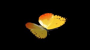 obj orange-barred butterfly