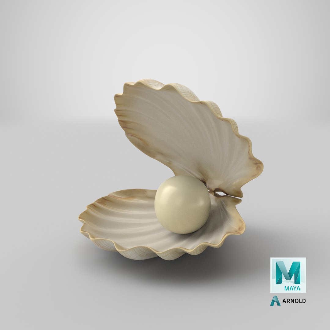 sea shell pearl 3D model https://p.turbosquid.com/ts-thumb/JJ/zsjHhg/82/stemcell_maya_arnold_render/png/1650961401/1920x1080/fit_q87/d49975356c85ccdea81c4cf5bb0316e8baa24c28/stemcell_maya_arnold_render.jpg