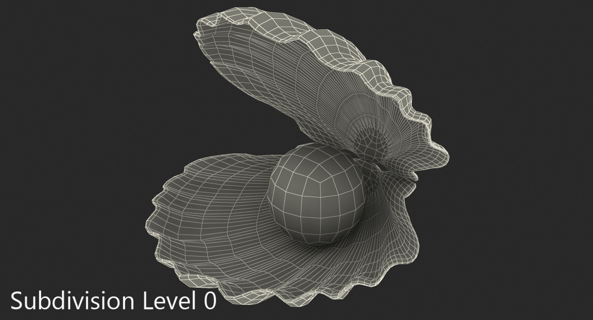 D shell. Shell 3d model. Ракушка 3д модель. Ракушка для 3d-принтеров. Ракушки 3д блендер.