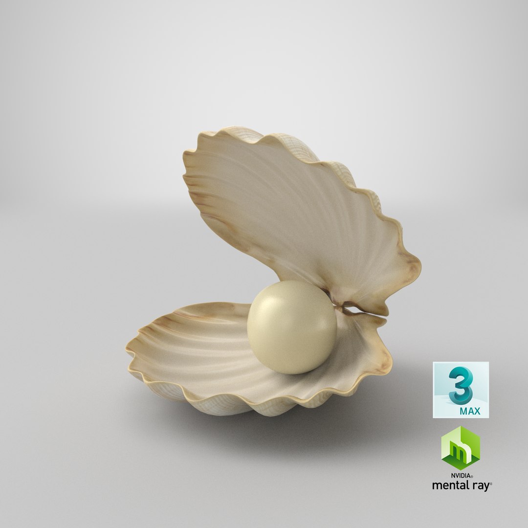 sea shell pearl 3D model https://p.turbosquid.com/ts-thumb/JJ/zsjHhg/JV/stemcell_max_mental_ray_render/png/1650961398/1920x1080/fit_q87/cfd552c0be1faf564f60fe86d4ecb6b84e010a18/stemcell_max_mental_ray_render.jpg