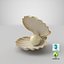 sea shell pearl 3D model