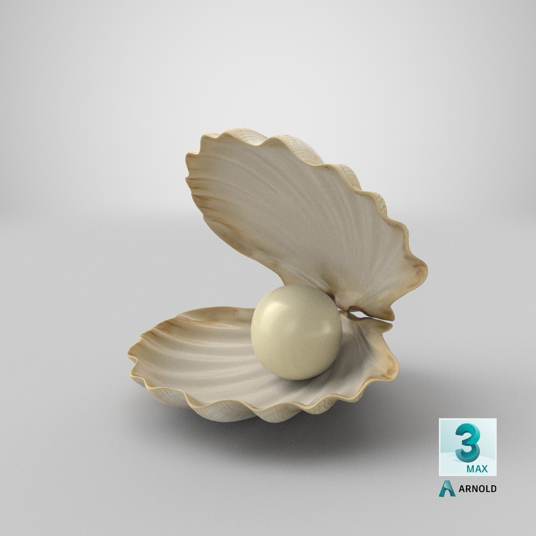sea shell pearl 3D model https://p.turbosquid.com/ts-thumb/JJ/zsjHhg/KN/stemcell_max_arnold_render/png/1650961396/1920x1080/fit_q87/00c7faef6380a5ed723563428a8f89280458759c/stemcell_max_arnold_render.jpg