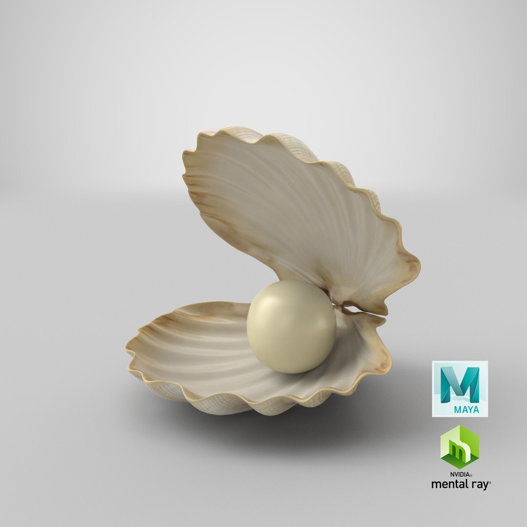 sea shell pearl 3D model https://p.turbosquid.com/ts-thumb/JJ/zsjHhg/ei/stemcell_maya_mental_ray_render/png/1650961403/1920x1080/fit_q87/e66c08a9e82f8fc280452af26c18ae5ac367763c/stemcell_maya_mental_ray_render.jpg