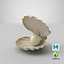 sea shell pearl 3D model