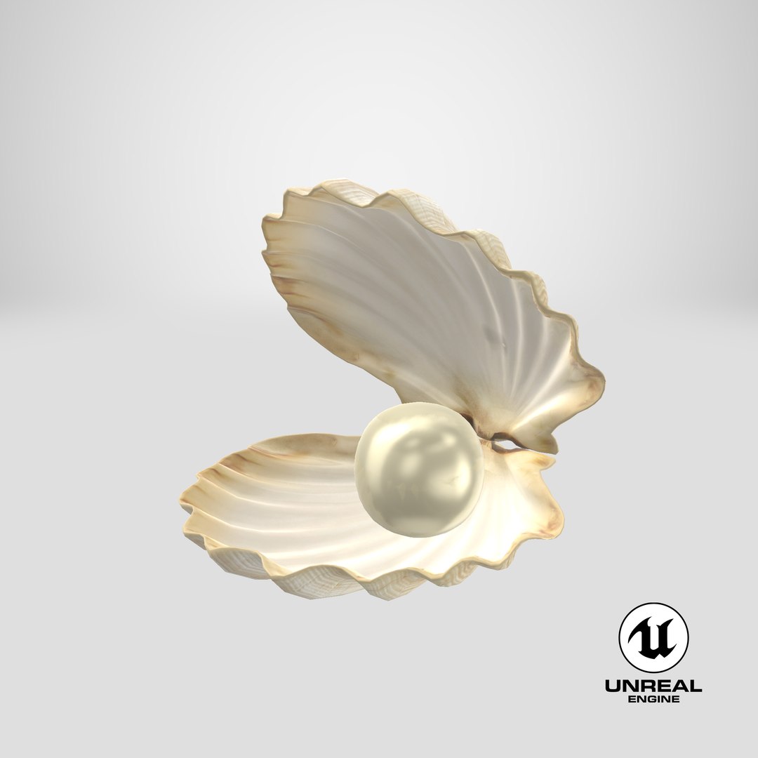 sea shell pearl 3D model https://p.turbosquid.com/ts-thumb/JJ/zsjHhg/fC/stemcell_unreal_render/png/1650961394/1920x1080/fit_q87/12bce392c46fb0b0c3126ce70320bc3e4fe97a80/stemcell_unreal_render.jpg