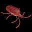 mite8 - trombidium holosericeum