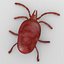 mite8 - trombidium holosericeum