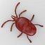 mite8 - trombidium holosericeum
