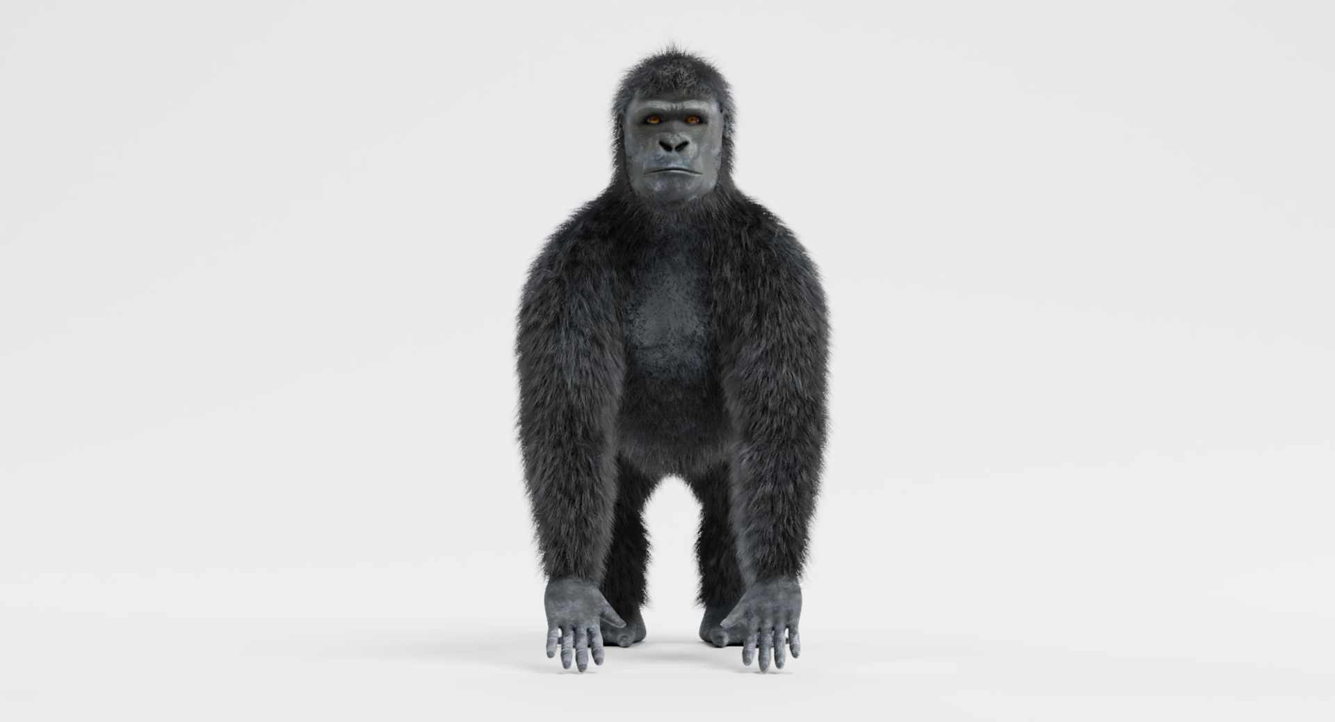 Western Gorilla Model - TurboSquid 1239073