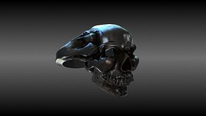 ring skull