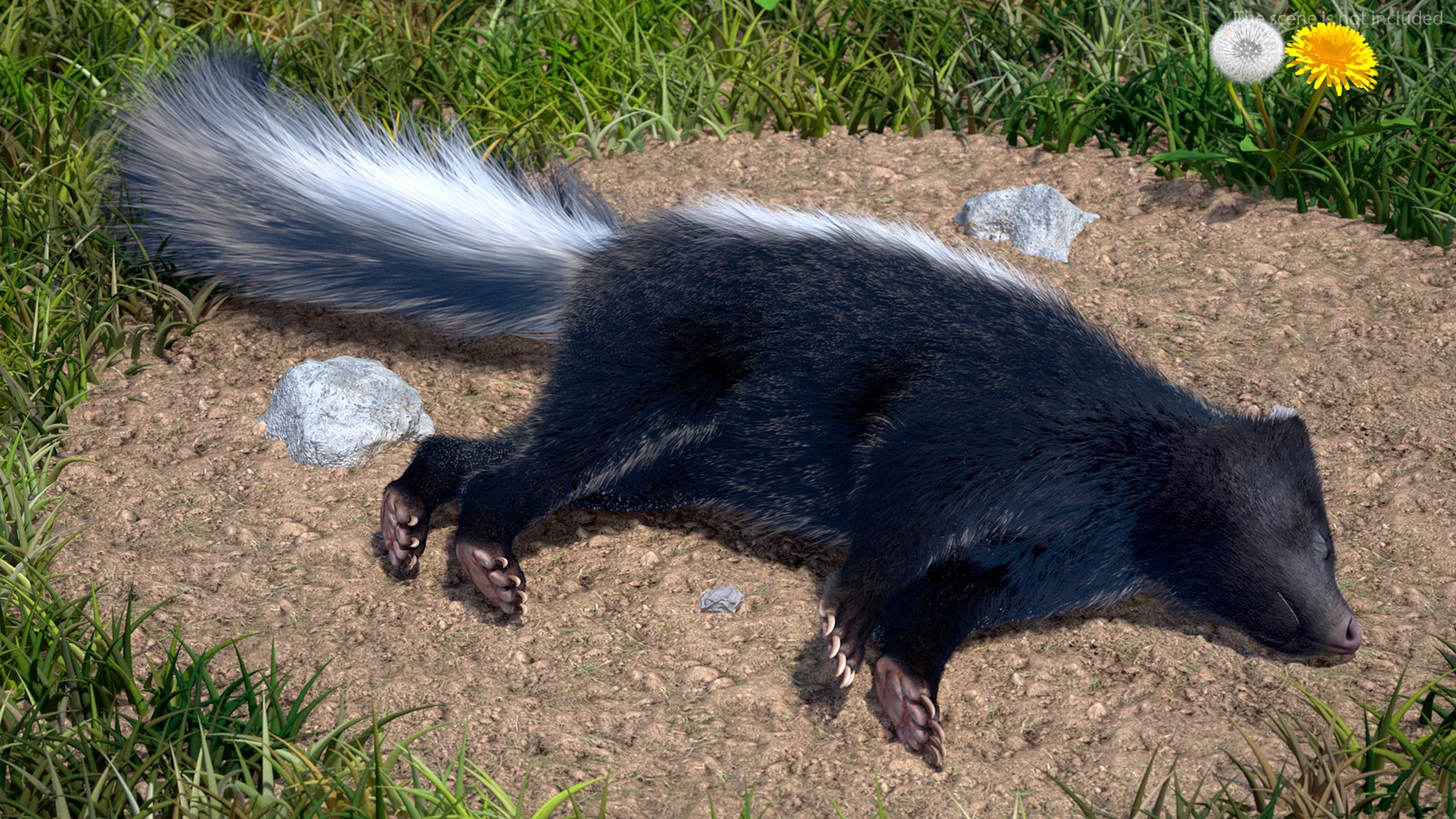 3D Model Animal Skunk Fur Rigged - TurboSquid 2108929