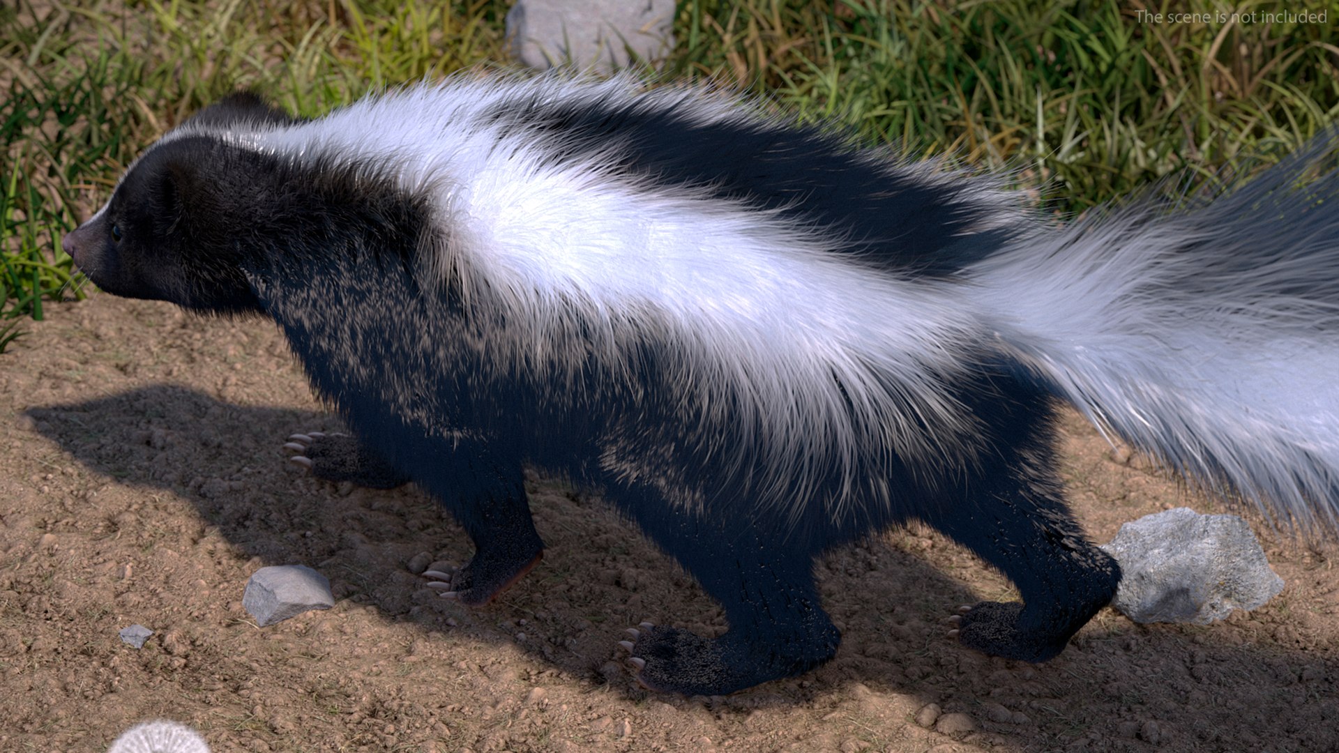 3D Model Animal Skunk Fur Rigged - TurboSquid 2108929