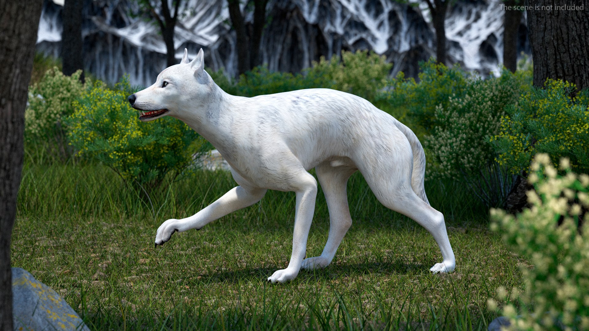 White Wolf Rigged For Cinema 4D 3D - TurboSquid 2250127