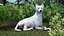 White Wolf equipado para Cinema 4D