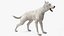 White Wolf equipado para Cinema 4D