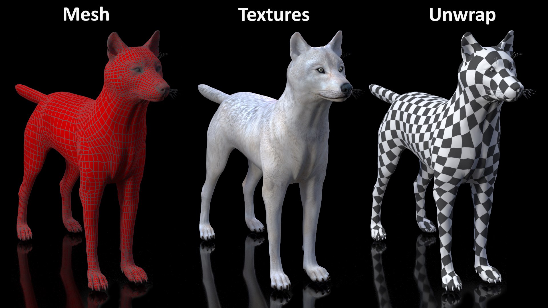 White Wolf Rigged for Cinema 4D 3D https://p.turbosquid.com/ts-thumb/JK/S9cYWv/UZ/whitewolfriggedforcinema4dvray3dmodel038/jpg/1719986437/1920x1080/fit_q87/966af5e7608debb4e1cbafc266151c2481a3741e/whitewolfriggedforcinema4dvray3dmodel038.jpg