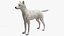 White Wolf equipado para Cinema 4D