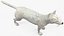 White Wolf equipado para Cinema 4D