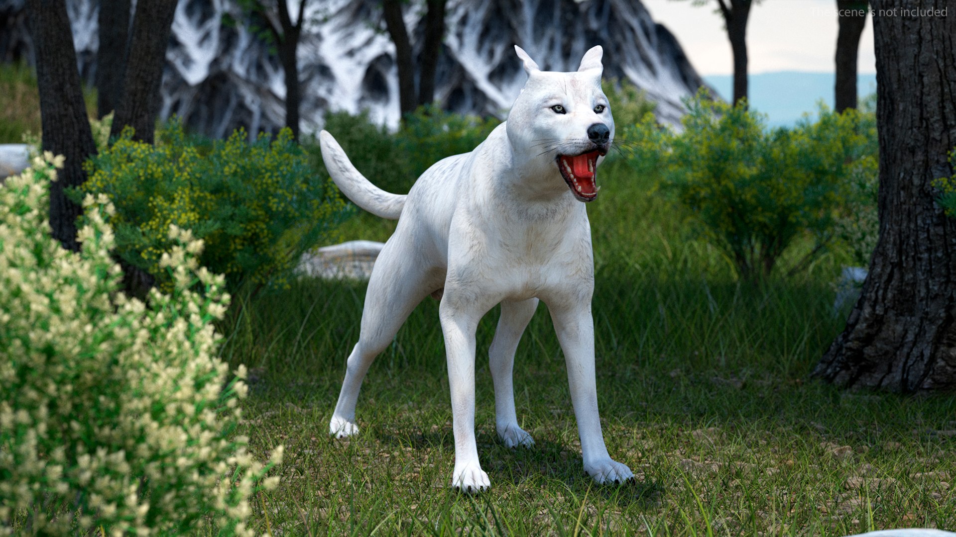 White Wolf Rigged For Cinema 4D 3D - TurboSquid 2250127