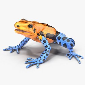 3d model poison dart frog orange