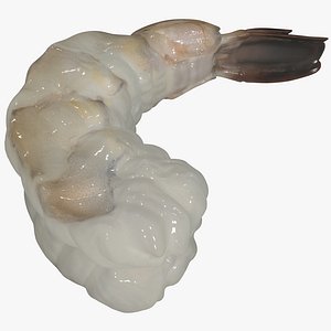 Fresh Shrimp 2