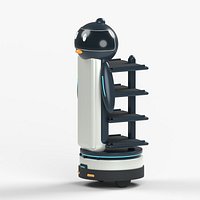 Penguin Serving Robot